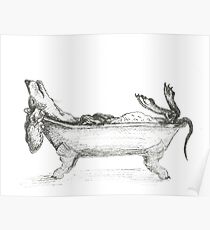 Dachshund in a bathtub illustration, pen and ink Poster