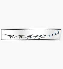 The Ascent of Bird Poster