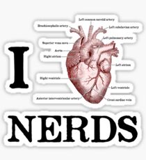 I Heart Nerds Sticker