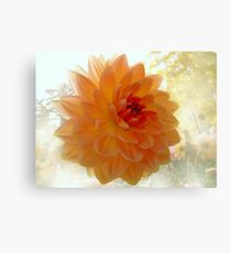 Gentleness Canvas Print