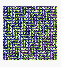 Merriweather Post Pavillion Photographic Print