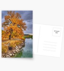 Autumn at Norms Island Postcards