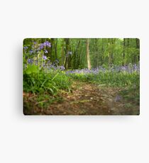 Footpath Metal Print