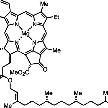 estructura de la clorofila b