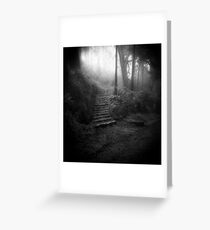 Mountain Steps B&W (Holga) Greeting Card