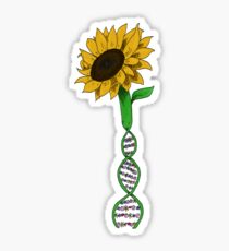Sonnenblumen-DNA Sticker