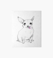 Little amigo Art Board