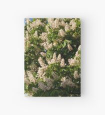 tree of blooming Aesculus Hardcover Journal