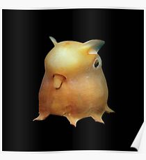 Dumbo Octopus Poster