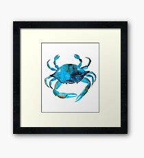 Crab Watercolor, Blue Crab Graphic Framed Print