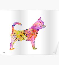 Chihuahua Poster