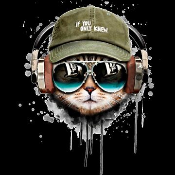  Funny Cat DJ Kitty Pet with Sunglasses for Cat Music lovers T- Shirt : Clothing, Shoes & Jewelry