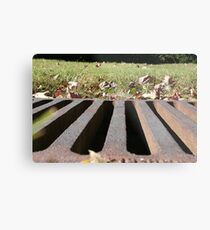 viewpoint Metal Print