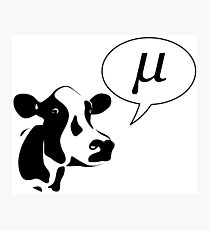 Scientific Cow Goes Mu Photographic Print