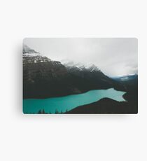 peyto lake Canvas Print