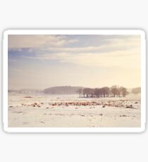 Stickers | Redbubble