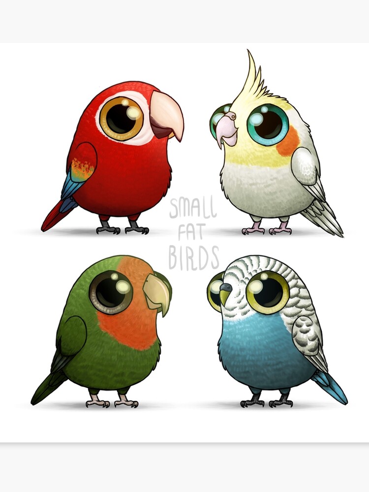 Parrots Party Line Canvas Print