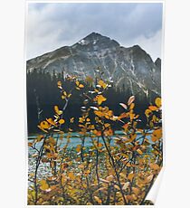 Lass uns verloren gehen Poster