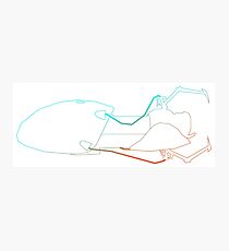 Science Lines Photographic Print
