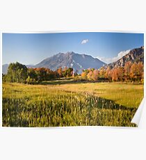 Mount Timpanogos from Cascade Meadows Poster