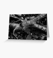 Undergrowth Greeting Card