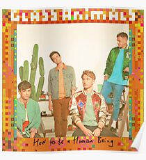 Glass Animals Poster