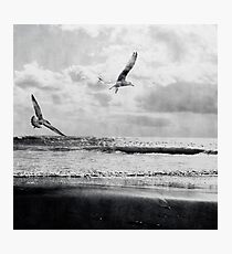 Freedom Photographic Print