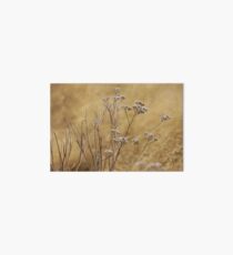 Nature Art Board