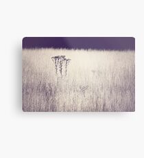 Nature Metal Print