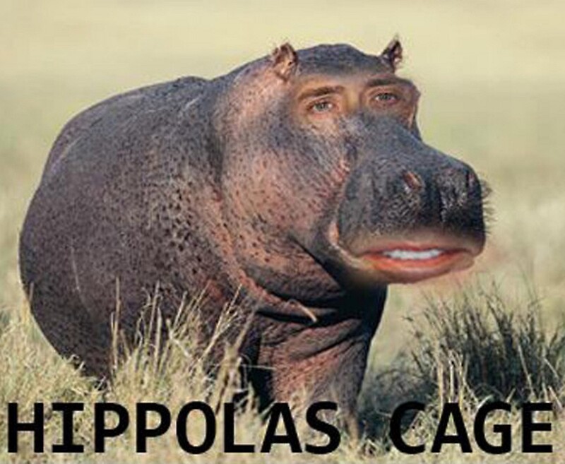 Hippolas Cage