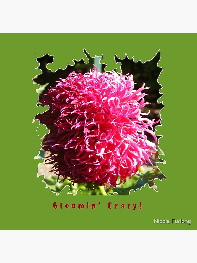 CUTE PINK DAHLIA FLOWER PETALS FUNNY QUOTE by nicolafurlong