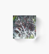 Flytrap Acrylic Block