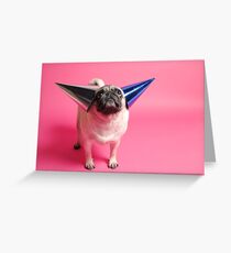 Party has started... Greeting Card
