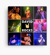 David Duchovny Rocks Metal Print