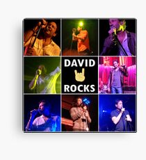 David Duchovny Rocks Canvas Print