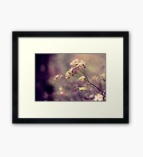 Tranquil Framed Print