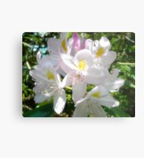 Fantasy Metal Print