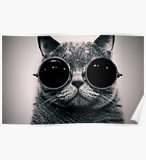 Cat with glasses poster Poster