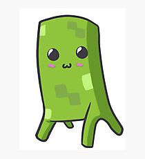 Cute Creeper Photographic Print