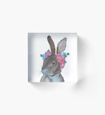 Hase Acrylblock
