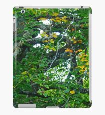 Autumn Trees...... iPad Case/Skin