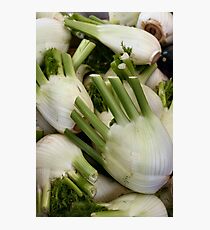 Absinthe ingredient Photographic Print
