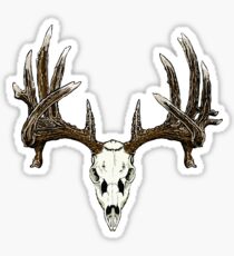 Whitetail deer skull Sticker
