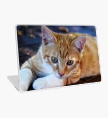 cement Laptop Skin