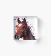 Horse Acrylic Block
