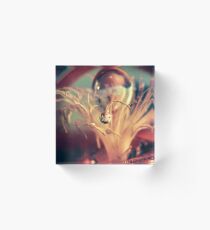 Gravitate Acrylic Block