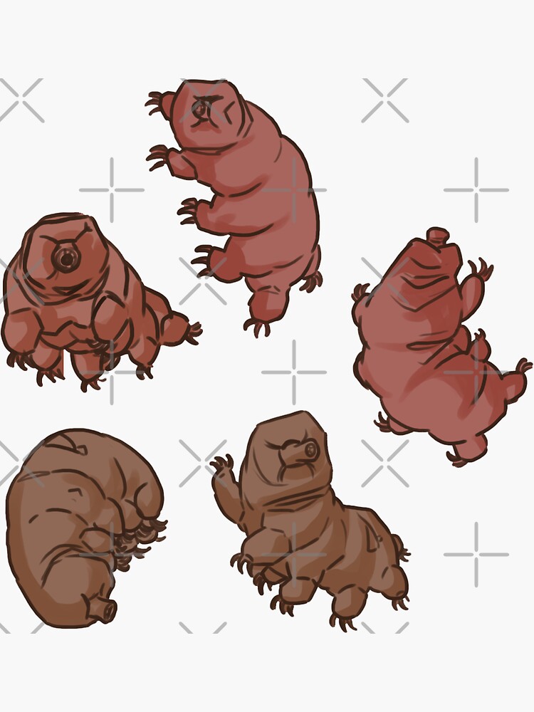 "Wonderful WaterBears" Sticker by piratical Redbubble