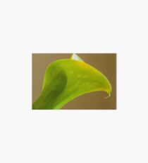 Calla Lily Art Board