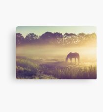 Misty Morning on the Dutch Field Canvas Print