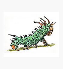 Hickory Horned Devil Photographic Print